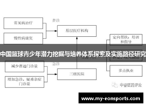 中国篮球青少年潜力挖掘与培养体系探索及实施路径研究