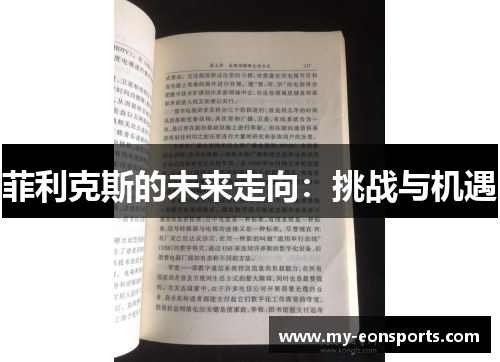 菲利克斯的未来走向：挑战与机遇